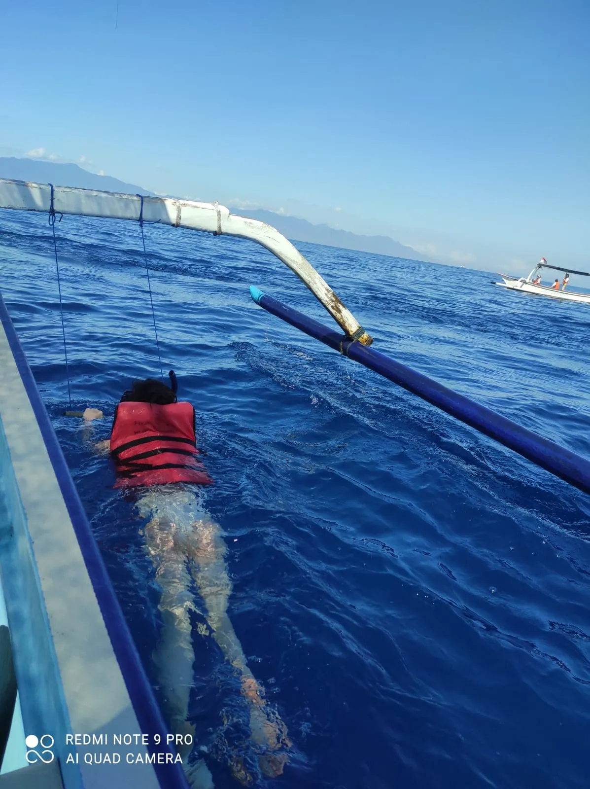 Exlcusive Dolphin Cruise Gallery